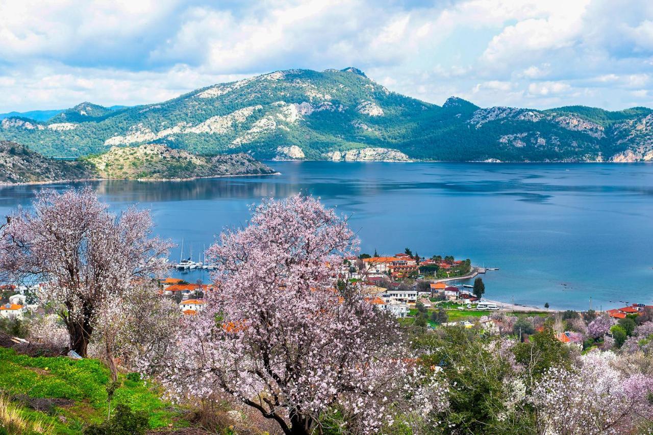 Swan Lake Hotel - Adult Only Selimiye  Eksteriør bilde